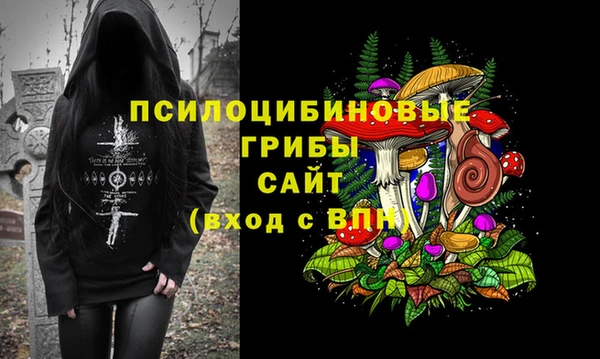 гидропоника Балабаново
