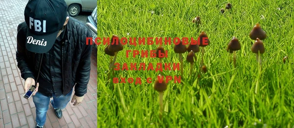 гидропоника Балабаново